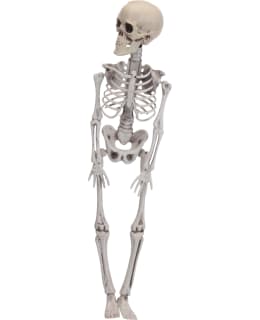 KM 491102980 HALLOWEEN 42CM LUURANKO Main Image