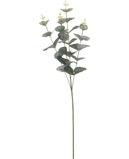 H&S EUCALYPTUS TEKOKASVI 70CM Main Image