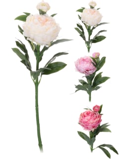 KM 318800070 60CM PIONI TEKOKUKKALAJIT. Main Image