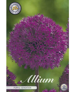 UKKOLAUKKA PURPLE SENSATION 5KPL Main Image