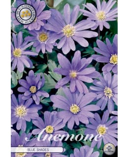 BALKANINVUOKKO ANEMONE BLUE SHADES Main Image
