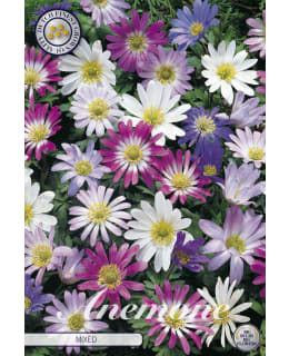 BALKANINVUOKKO BLANDA MIXED 20KPL Main Image