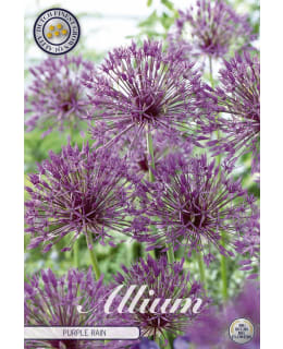 KORISTELAUKKA PURPLE RAIN 5KPL Main Image