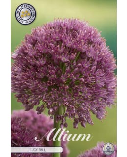 KORISTELAUKKA LUCY BALL 1KPL Main Image