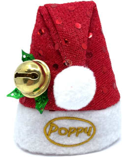 POPPY GRACE MATE SANTA CLAUS PULLONHATTU Main Image