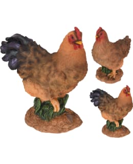 ROOSTER AND HEN STANDING Main Image