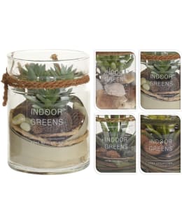 H&S D22300070 10X13,5 LAJ.KORISTEKASVI Main Image