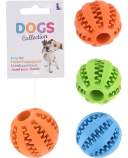 DOGS 491003320 KUMIPALLO Main Image