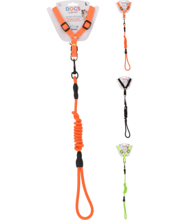 DOGS 491003390 VALJAS-TALUTINSETTI LAJ. Main Image