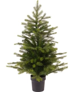 EVERLANDS GRANDIS 75CM JOULUKUUSI Main Image