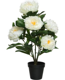 EVERLANDS 801071 PEONY ROSE POLYESTER Main Image