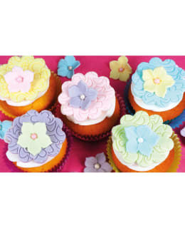 FUNCAKES PASTELLI 5X100 G SOKERIMASSAT Main Image