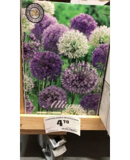 KORISTELAUKKA SEKOITUS 5KPL Main Image