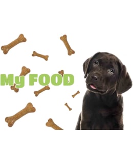 PLACEMAT MY FOOD LABRADOR Main Image