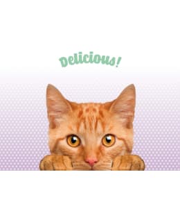 PLACEMAT GINGER CAT DELICIOUS Main Image