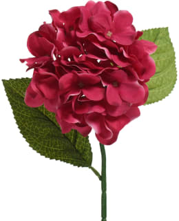 EVERLANDS 800162 HORTEN. TEKOKASVI Main Image