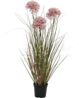 EVERLANDS 804027 TEKOKASVI Main Image