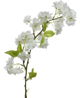 EVERLANDS 801218 VALK TEKOKUKKA Main Image