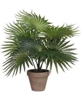 MICA PALMU 40X35CM TEKOKASVI Main Image