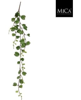 MICA HOYA 97X30X5CM TEKOKASVI Main Image