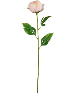 MICA PEONY L. PINK 60CM TEKOKUKKA Main Image