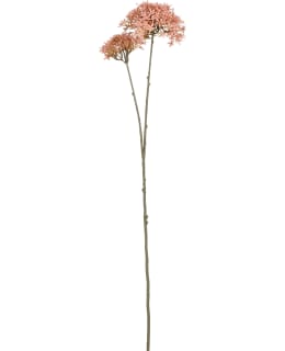 MICA CALOTROPIS PINK 70CM TEKOKA Main Image