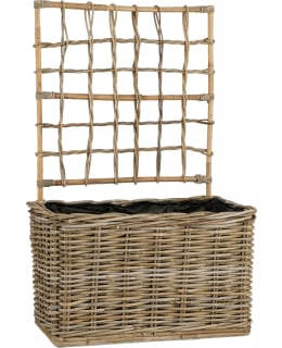 MICA 1147193 KASVIHYLLY Main Image