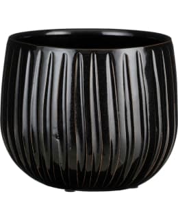 MICA PABLO 14X16CM MUST RUUK Main Image