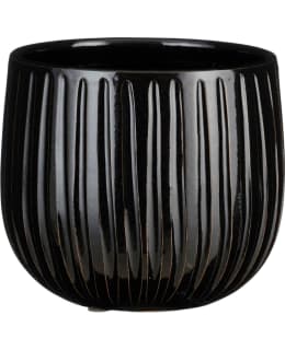 MICA PABLO 16X18CM MUST RUUK Main Image