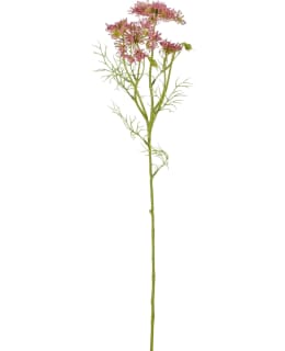 MICA DAUCUS CAROTA PINK 61CM TEKOKUKKA Main Image