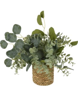 KM 317221210 25X25X30CM TEKOKASVI Main Image