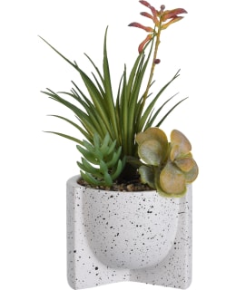 SUCCULENT PLANT IN A POT 12X26CM Main Image