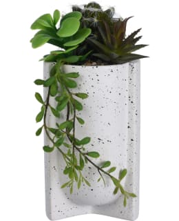 SUCCULENT PLANT IN A POT 10X23CM Main Image