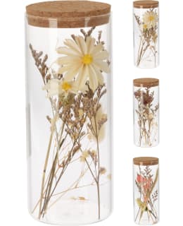 H&S HZ1961420 8X19CM KORISTEKASVI LASISS Main Image