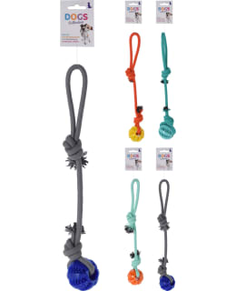 DOGS 491004740 KOIRAN KÖYSIPALLO Main Image