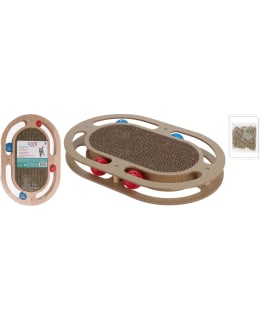 CATS 491011480 RAAPIMALELU Main Image