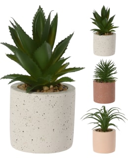 H&S CC5059030 9,5X20CM LAJ.KORISTEKASVI Main Image