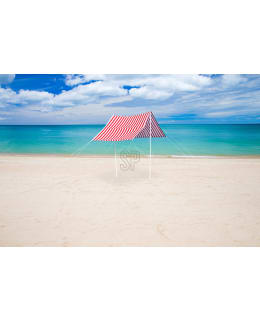 KM SHADE CLOTH 300X170CM FLOWER P Main Image