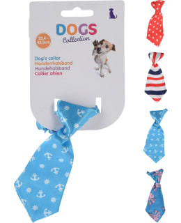 DOG COLLAR WITH TIE 3 ASSORTED Main Image