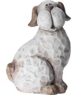 KM 095752350 32CM KOIRA Main Image