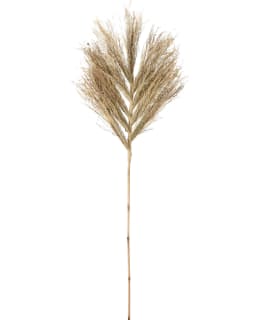 H&S D22310030 150CM KORISTEHEINÄ Main Image