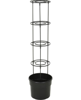 H&S TOMAATIN KASVATUSRUUKKU Main Image