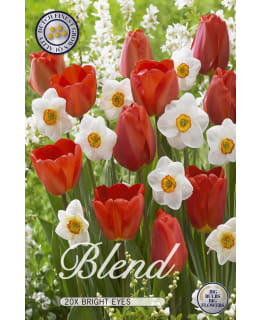 TULPPAANI/NARSISSI BRIGHT EYES MIX 20KPL Main Image