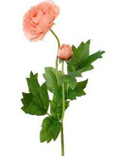 EVERLANDS CAMELIA TEKOKUKKA Main Image