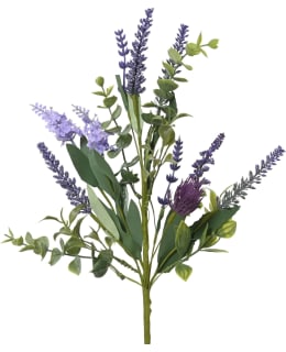 EVERLANDS 899499 TEKOKUKKA Main Image