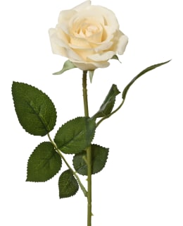 EVERLANDS 860374 KELT RUUSU TEKOKUKKA Main Image