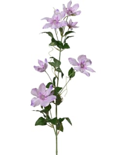 EVERLANDS 833152 KÄRHÖ TEKOKUKKA Main Image