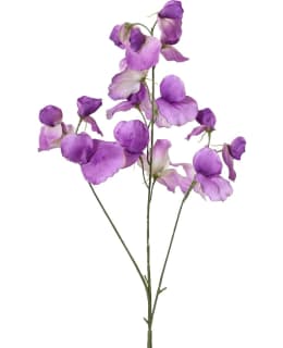 EVERLANDS 833602 TEKOKUKKA VIOLETTI Main Image