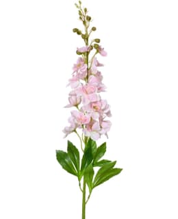 EVERLANDS DELPHINIUM VPUN TEKOKUKKA Main Image