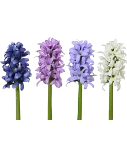 Everlands Hyasintti tekokukka lajitelma Main Image